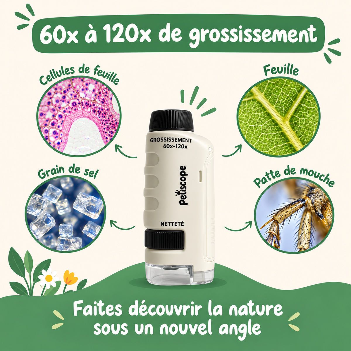 PetitScope