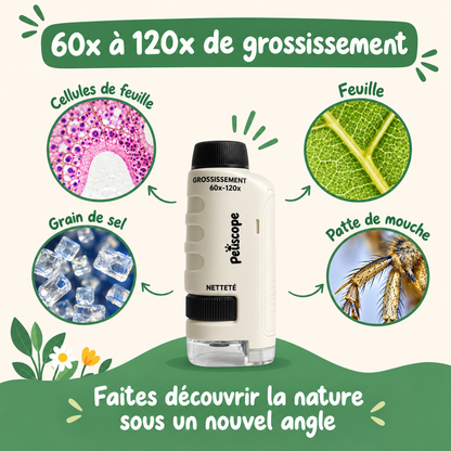 PetitScope